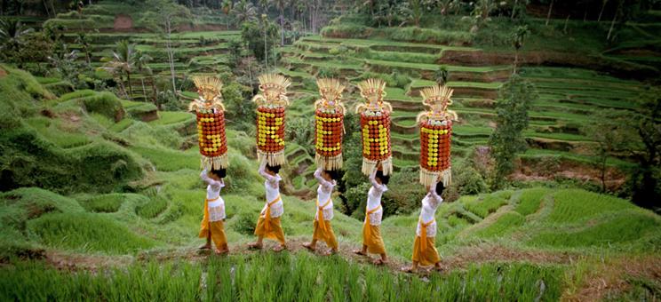 <span class='credits'>© Stefan Sagmeister</span>