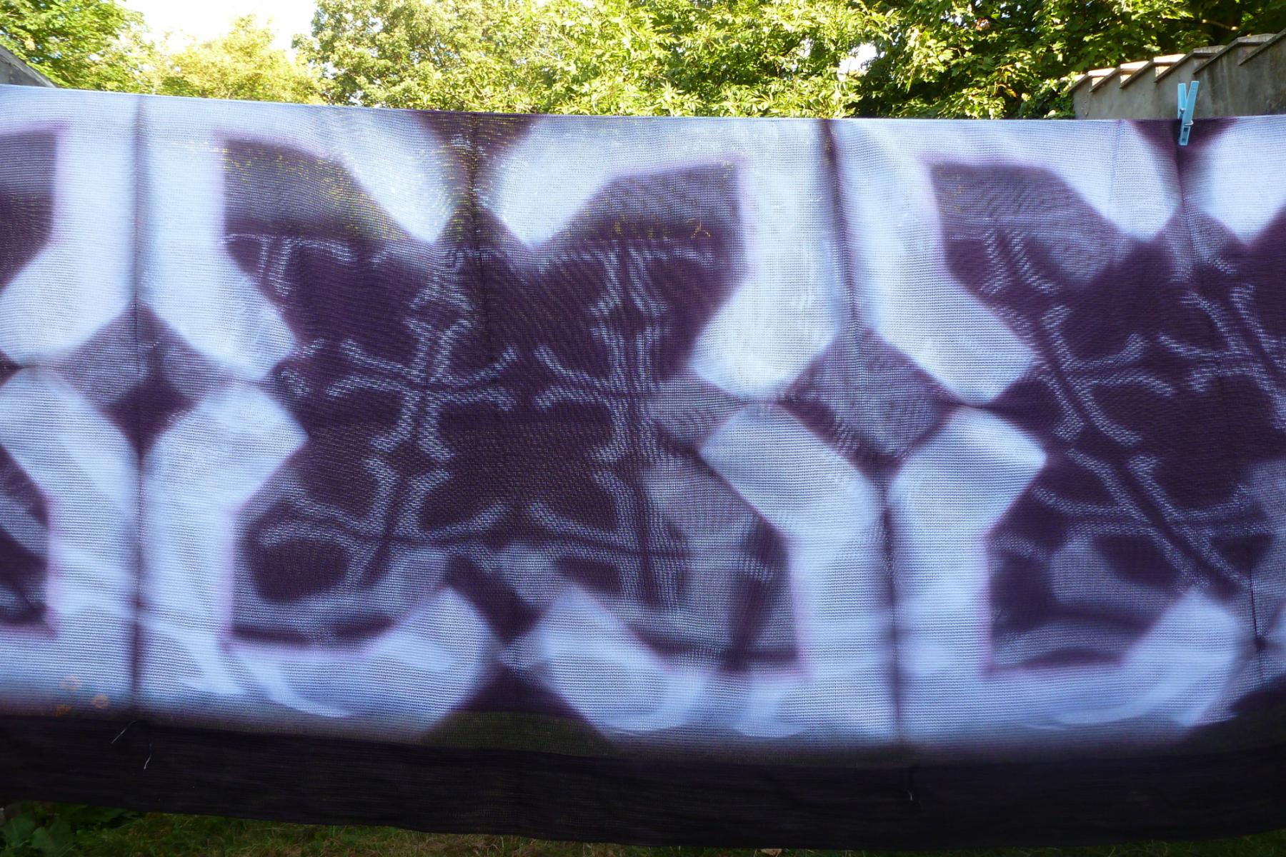 <span class='credits'>© Anne Masson</span>