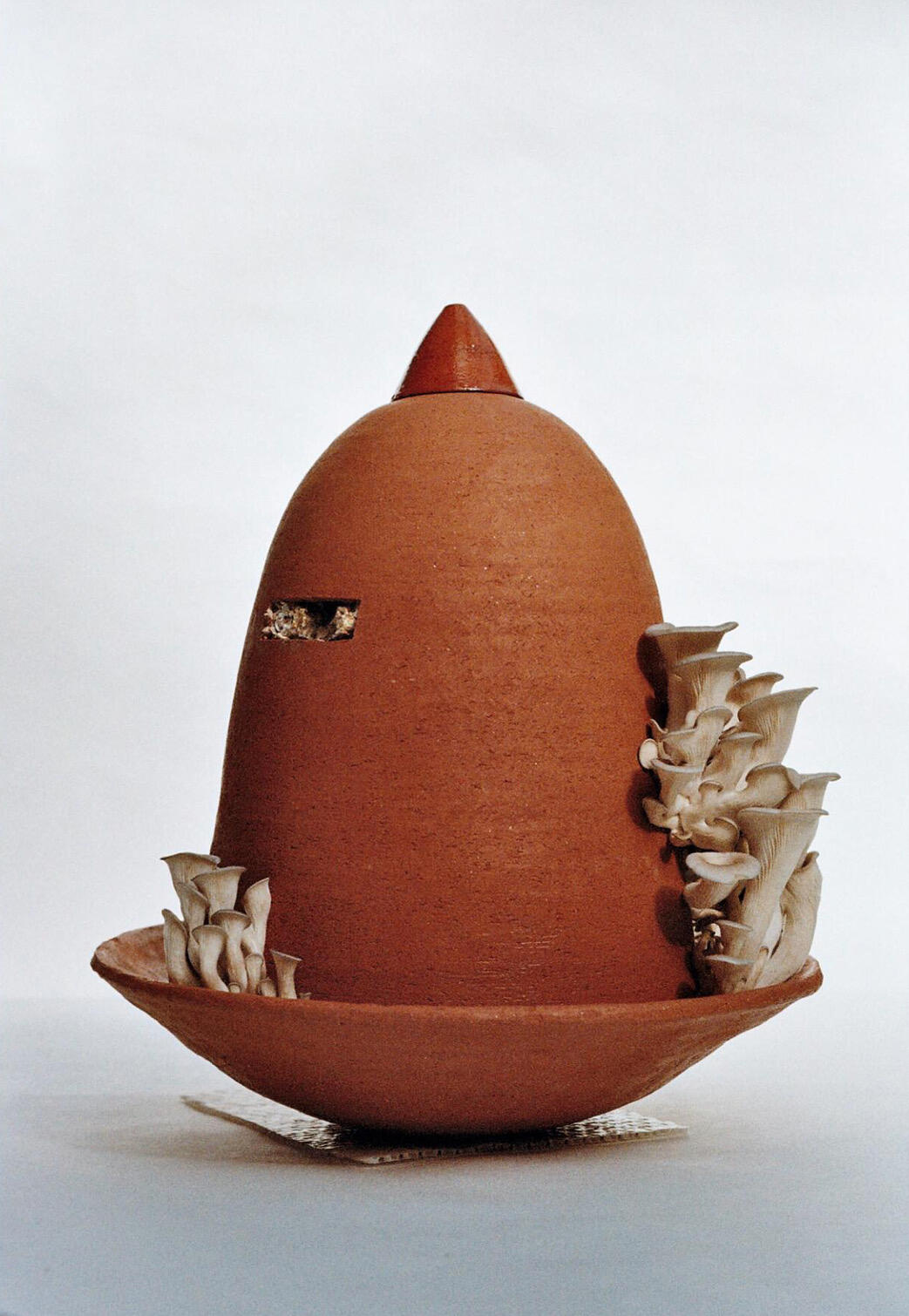 <span class='credits'>&copy; Julie Brugier</span>