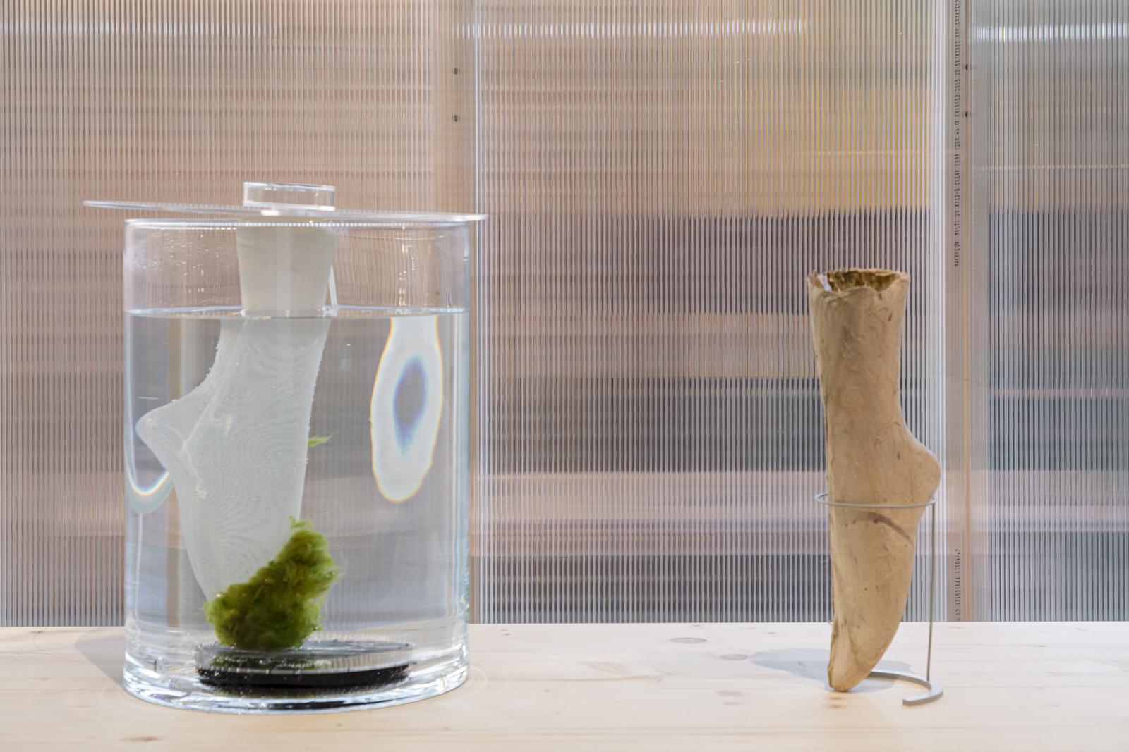 <span class='credits'>© Tim Van de Velde</span>