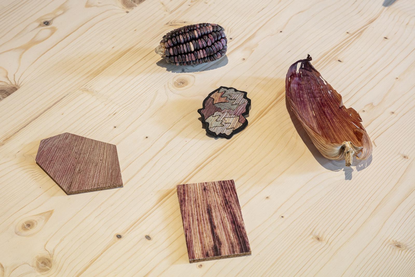 <span class='credits'>© Tim Van de Velde</span>