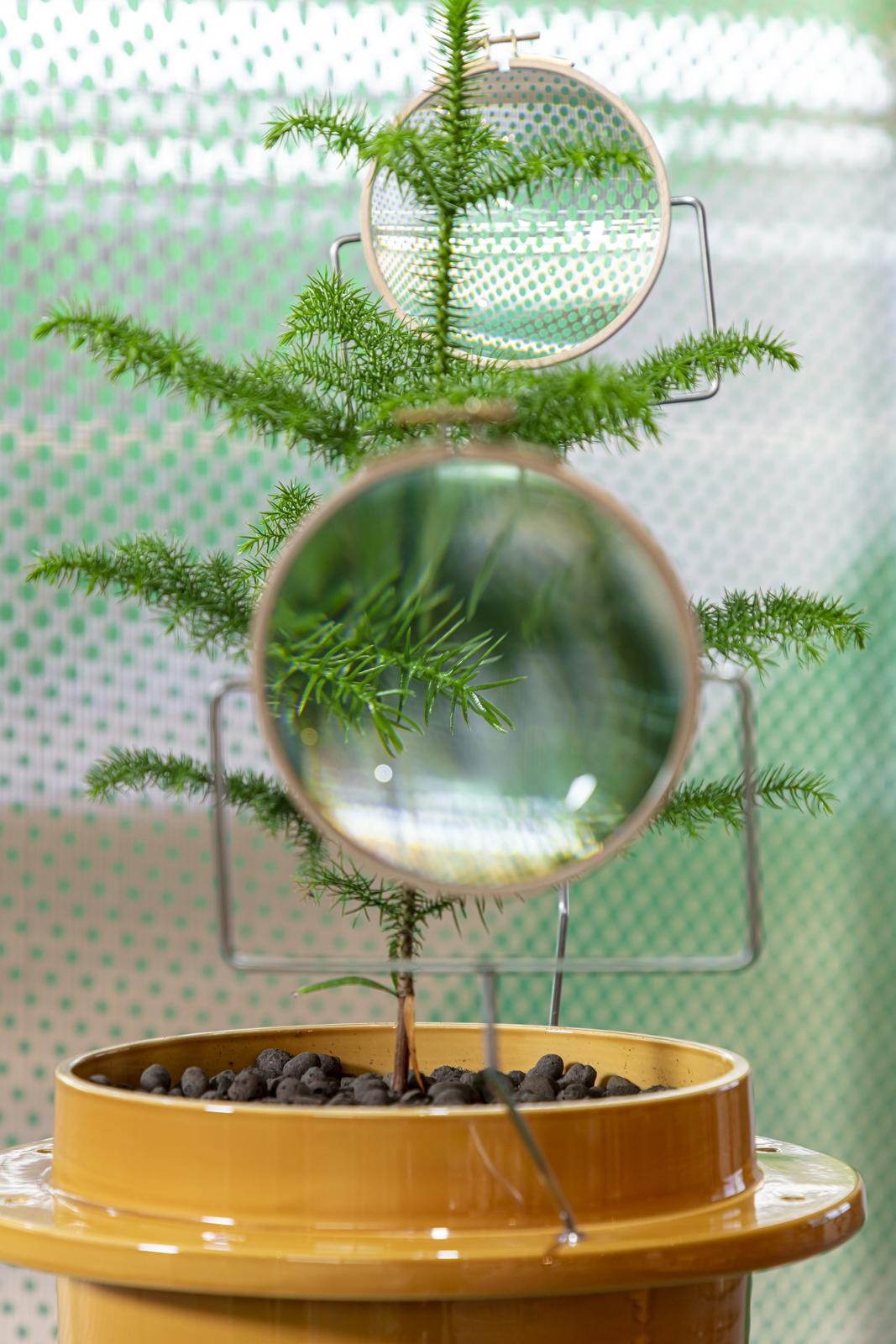 <span class='credits'>© Tim Van de Velde</span>