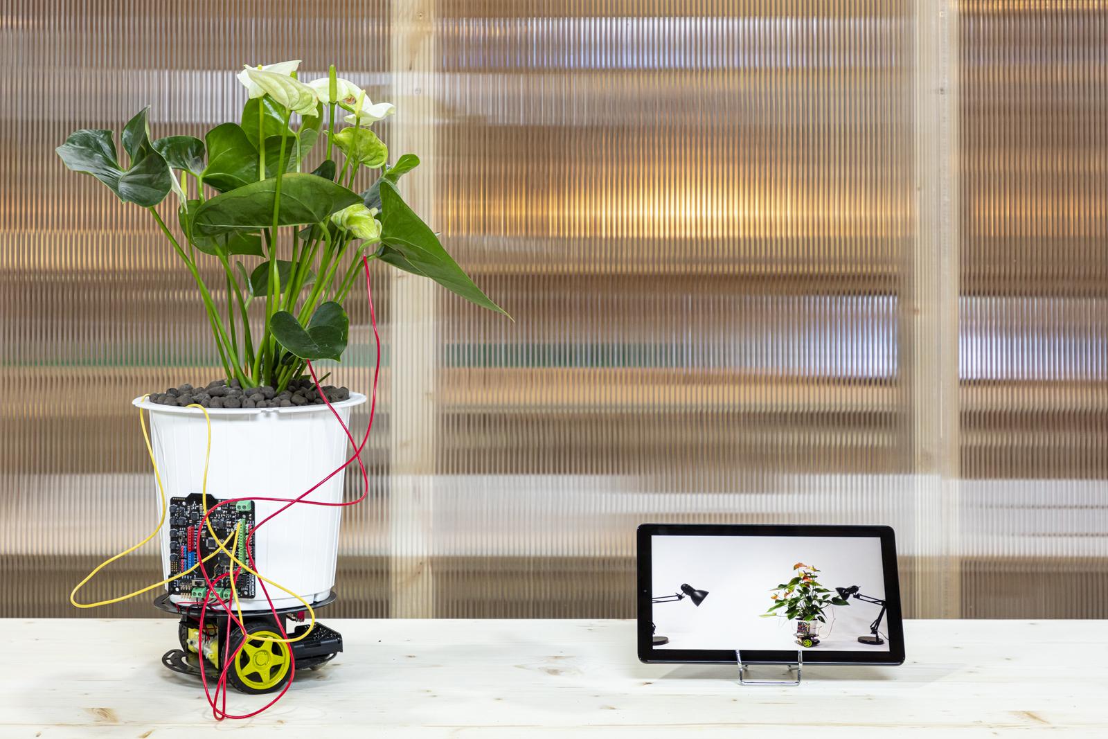 <span class='credits'>© Tim Van de Velde</span>