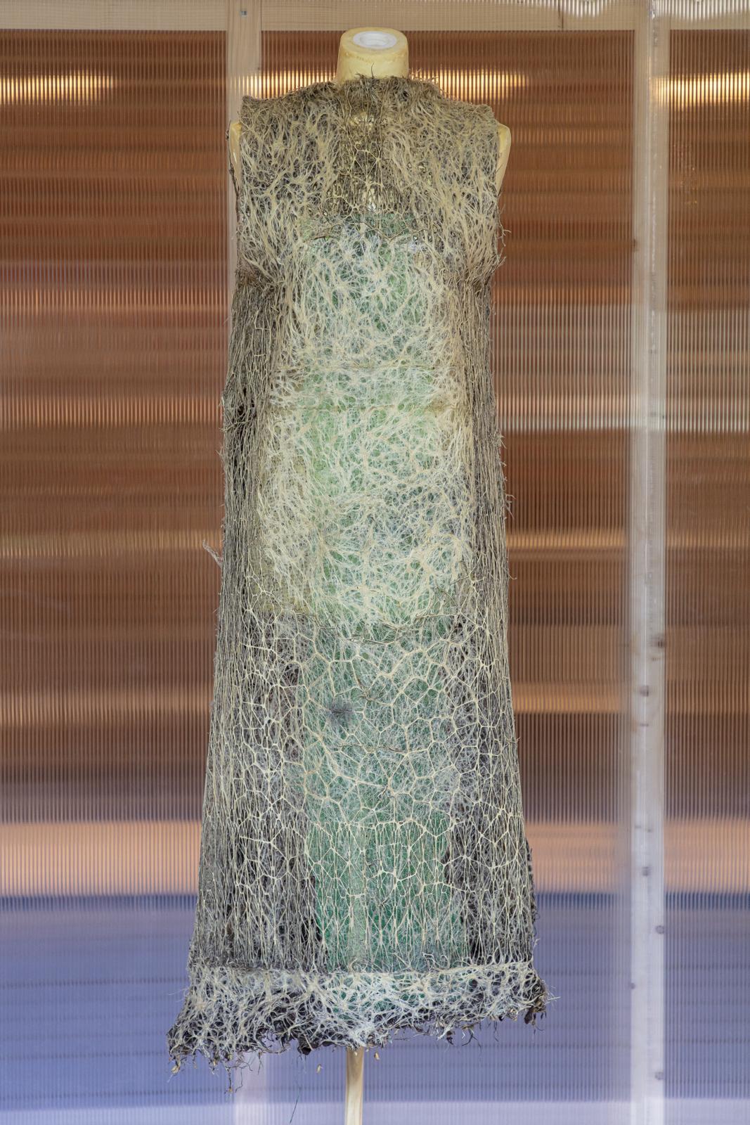 <span class='credits'>© Tim Van de Velde</span>